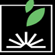 Dr. Subhash University