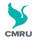 CMR University