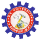 P.K. University