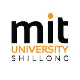 Maharashtra Institute of Technology University of Meghalaya