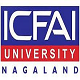 ICFAI University