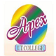 Apex IT College, Beed
