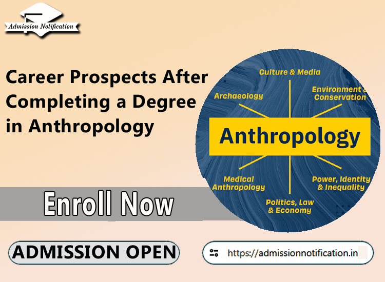 Career Prospects After Completing a Degree in Anthropology