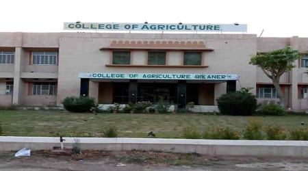 College of Agriculture, Bikaner