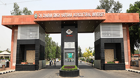 College of Basic Sciences and Humanities, Chaudhary Charan Singh Haryana Agricultural University, Hisar