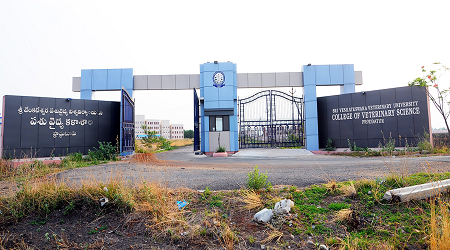 College of Veterinary Science, Proddatur