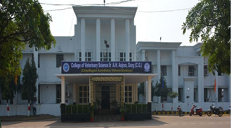 College of Veterinary Science and Animal Husbandry, Durg